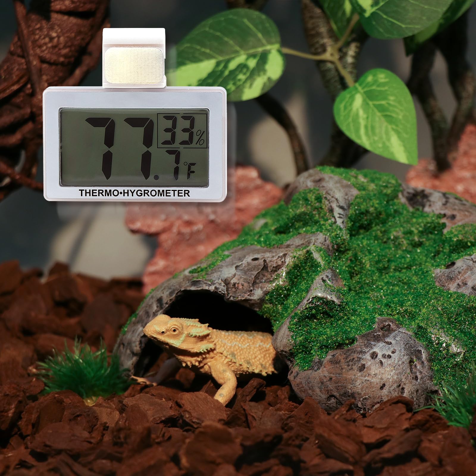 AQUA KT Termometro digitale per terrario per rettili, igrometro ad alta precisione, per lucertola, serpente, drago barbuto, accessorio per gabbia anfibia