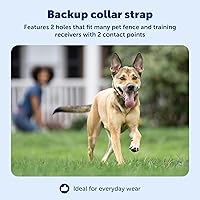 Vista 3 de PetSafe Correa de repuesto para collar con 2 agujeros, diseño ajustable para collares de valla en el suelo e inalámbricos, poliéster ligero, ajuste
