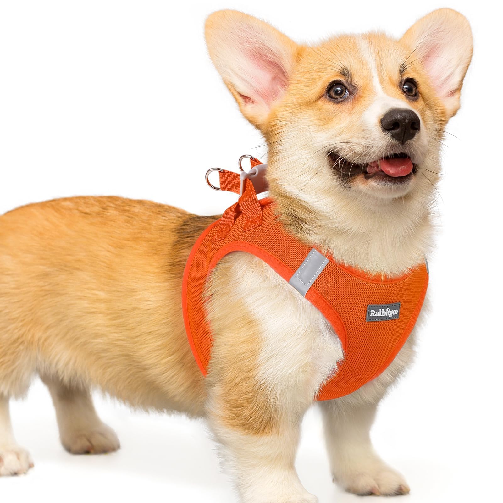 rabbitgoo Small Dog Harness, Step-in Soft Mesh Puppy Vest with Safety Buckle, Breathable Reflective Pet Harness for Small Medium Dogs, Orange L