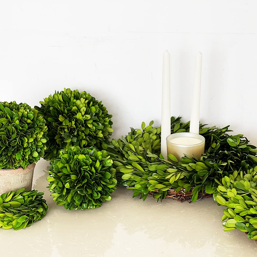 BoxwoodWorld Boxwood Topiary Ball 5" Preserved Boxwood Topiary Plant Wedding Decor Indoor Plant Ball Topiary Tree Substitute Christmas Decorative Ball