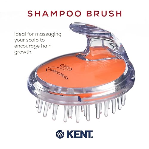 Miniatura 3 de KENT SH1 - Champú  acondicionador, masaje de cuero cabelludo y cepillo húmedo para ducha de crecimiento del cabello, 42 cerdas de goma suave (3 12