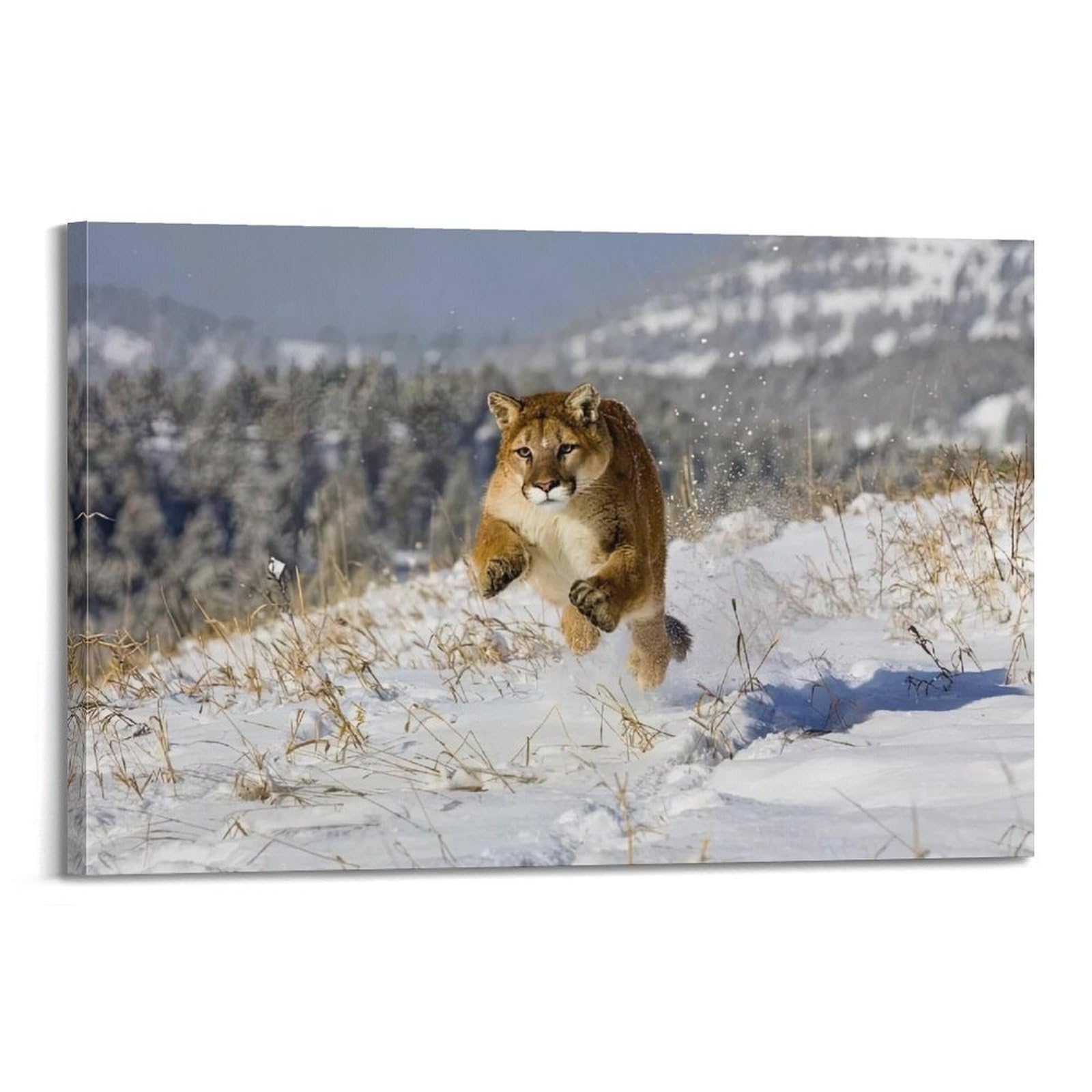 XKUGA Wild Felines Poster Cougar Big Cat Habitat Modern Decorative Canvas Prints - Ideal Wall Art for Family, Man Cave, Game Room, Boys & Girls Bedroom 24x36inch(60x90cm)