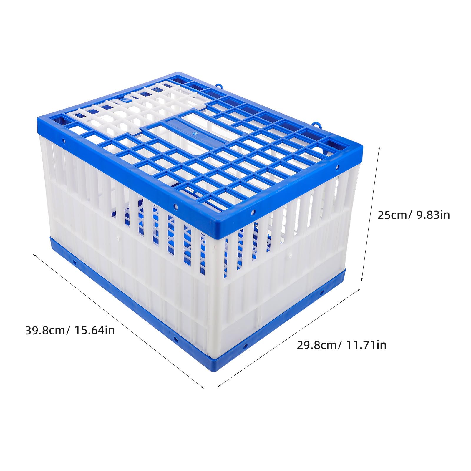 Toyvian Trasportino per Piccioni in Plastica Resistente per 4-6 Uccelli, Facile da Pulire e Riduce gli Infortuni, per Trasporto Quotidiano e Competizioni di Rilascio