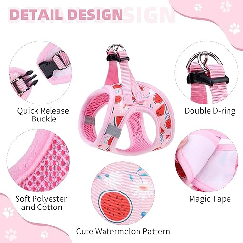 Miniatura 33 de KOOLTAIL Juego de arnés y correa para perros pequeños y medianos, arnés de malla suave sin tirones para perro, cómodo chaleco acolchado