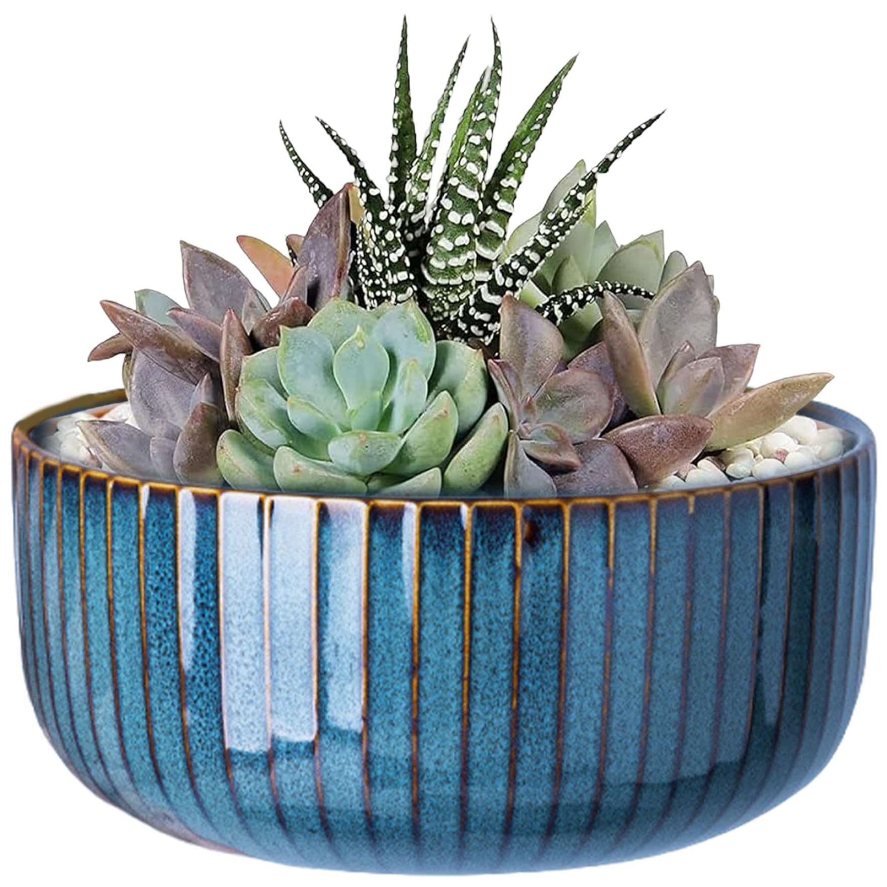 Pots de succulentes pour intérieur moderne, créez votre oasis de bureau