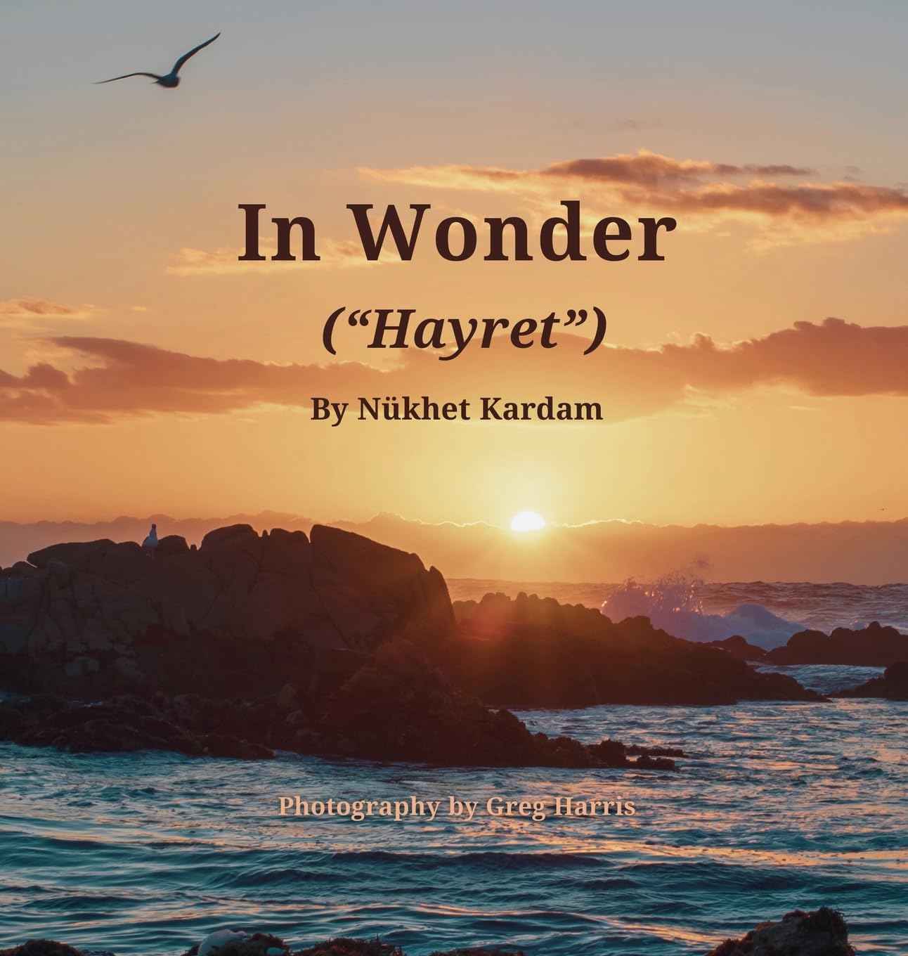 In Wonder Hayret livre d art pour sublimer votre decoration de salon
