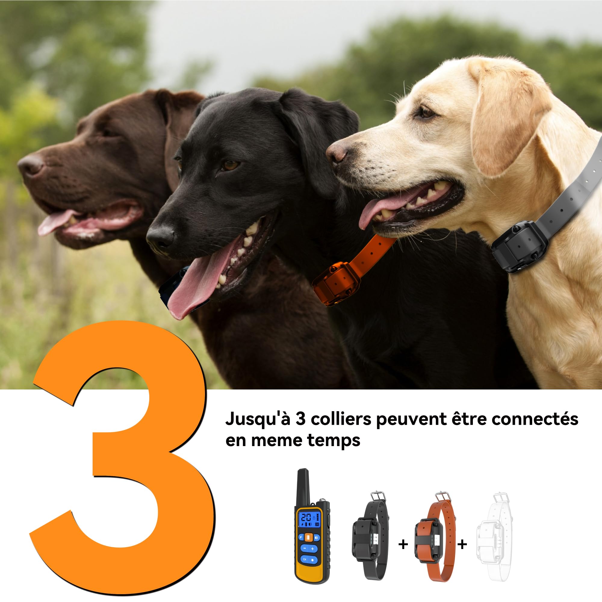 Meloive Collier de Dressage pour Deux Chiens,Collier Rechargeable avec Contrôle Manuel Portée 3000 Mètres,4 Modes d'Entraînement Choc Électrique/Sonore/Vibration/Lumière,IPX67 Résistant à l'eau