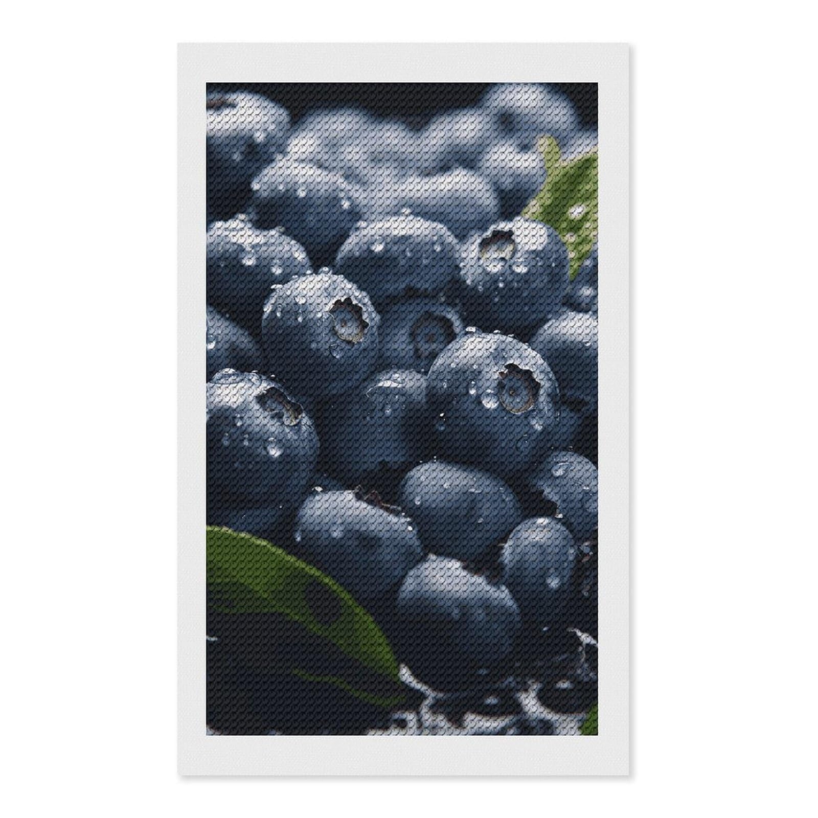 Delicious Blueberry Diamond Art Kits for Adults, DIY 5D Diamonds Painting Kits for Beginner, Round Full Drill Diamond Dots Painting, Diamonds Pictures Gem Art and Crafts Wall Decor 12"x20"