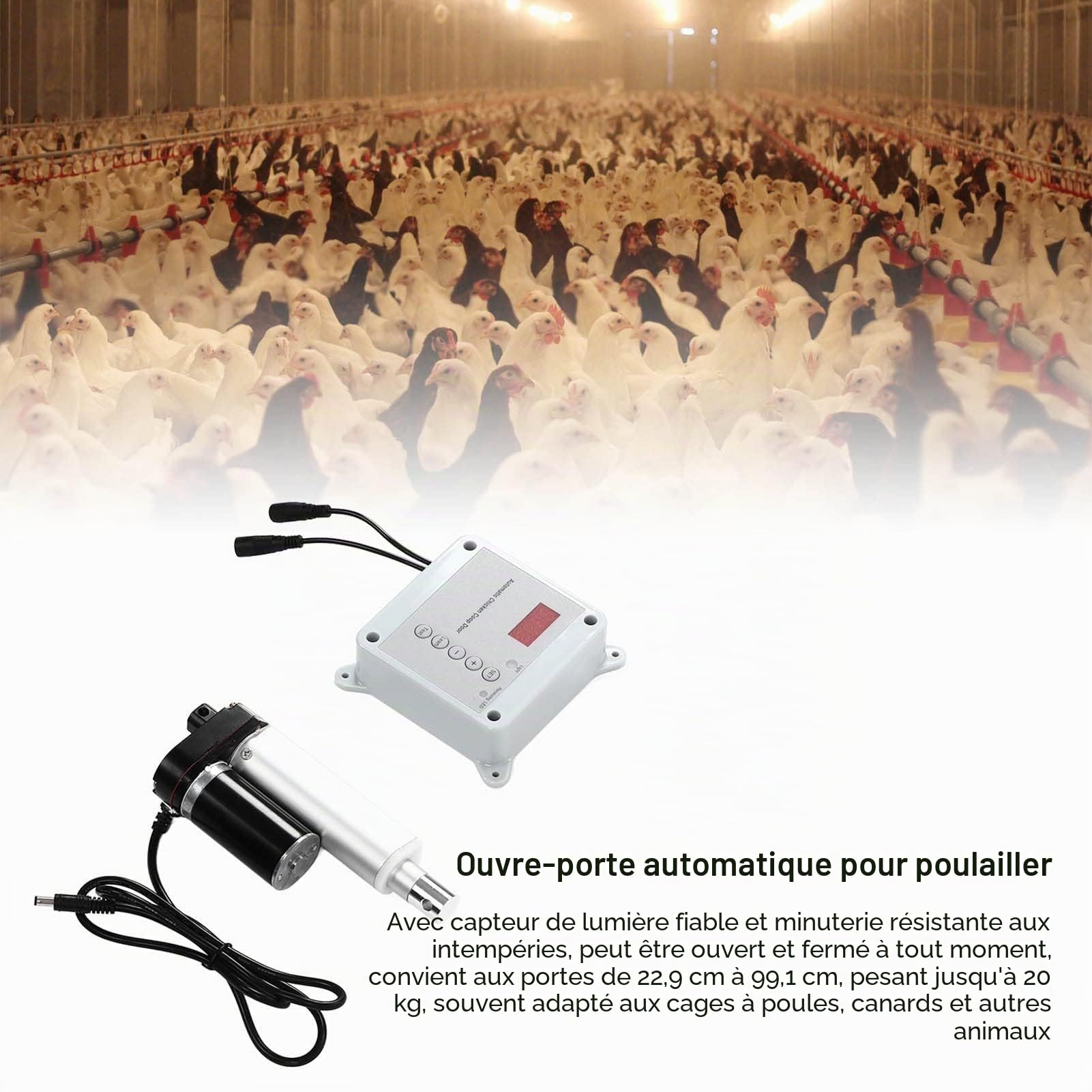 Ouvre-Porte Automatique pour Poulailler avec Minuterie, Capteur de Lumière et Télécommande pour Fournitures D'habitat de Volaille d'oie de Canard de Ferme, Alliage D'aluminium (Prise UE 100‑240V)