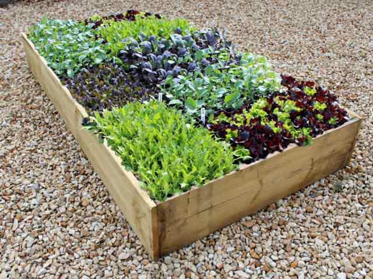 Quickcrop Allotment Raised Beds - 22.5cm High (180cm x 180cm)