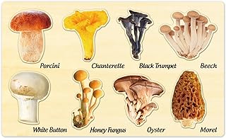 Mushroom Wooden Jigsaw Puzzles by MoinKidz, Montessori Puzzles for Kids Ages 3-5, Mushroom Puzzle Fall Toys for Toddlers, Educational Learning STEM Toys Birthday Gift for Boys & Girls