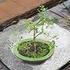 Product Photo 6
