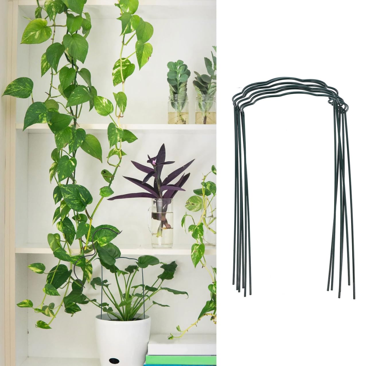 6 Tuteurs Verts en Fer pour Plantes en Pot, Support Pratique pour Fleurs et Feuilles, Évite L’enchevêtrement, Jardin
