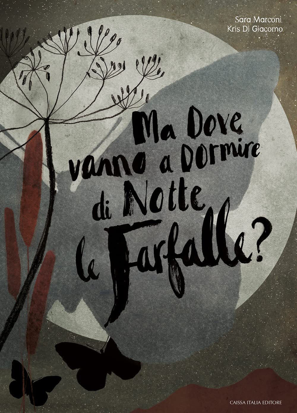 Ma Dove Vanno A Dormire Di Notte Le Farfalle? Ediz. A Colori - 4