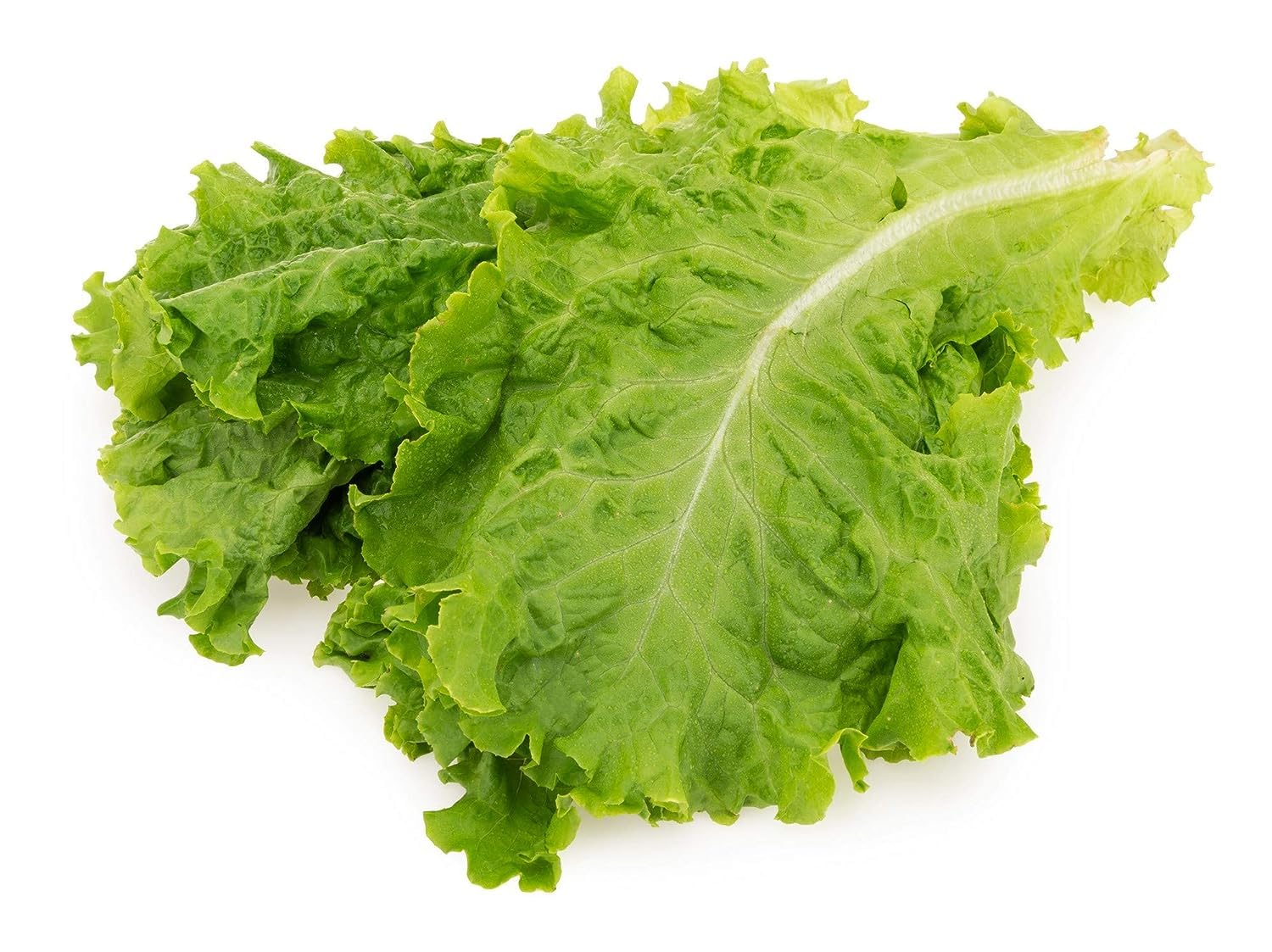 Fresh Lettuce Green, 250g-picture-27