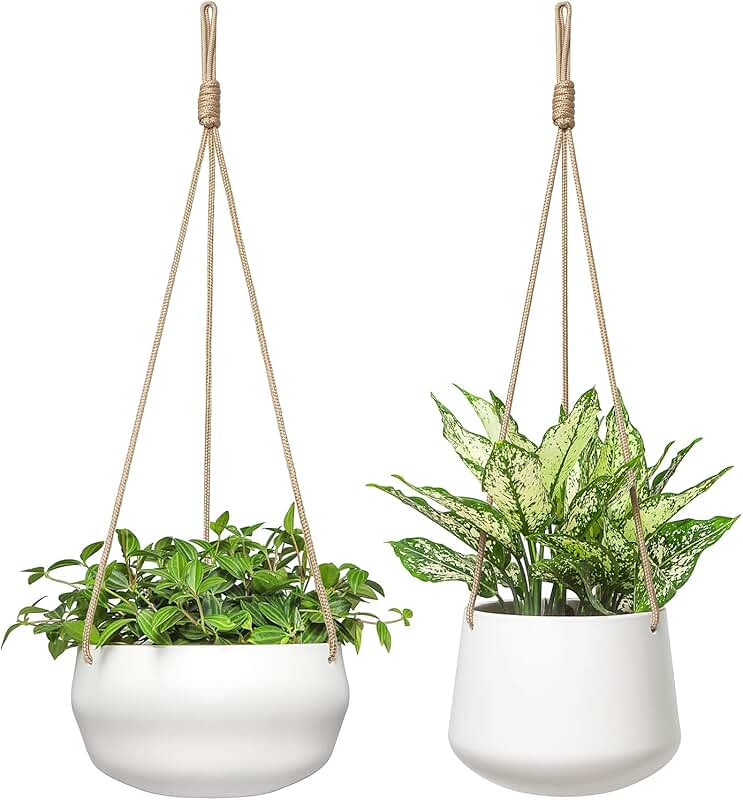 Hanging Planters
