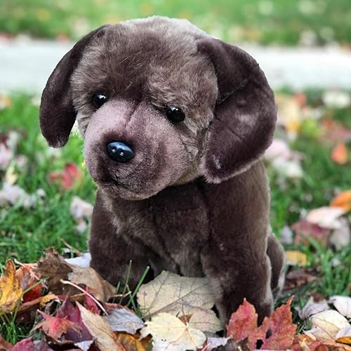 Miniatura 4 de Auswella Perro de peluche de Labrador Retriever de 15 pulgadas, elige una postura (sentado marrón)