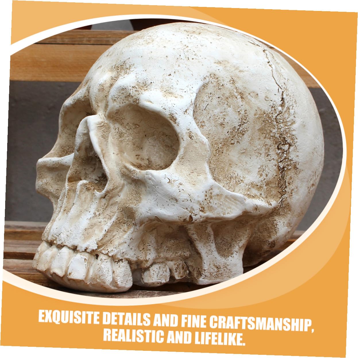 VALICLUD Halloween Resin Skull Table Centerpiece Decoration Human Skeleton Head Ornament for Party Photo Prop And Desktop Decor