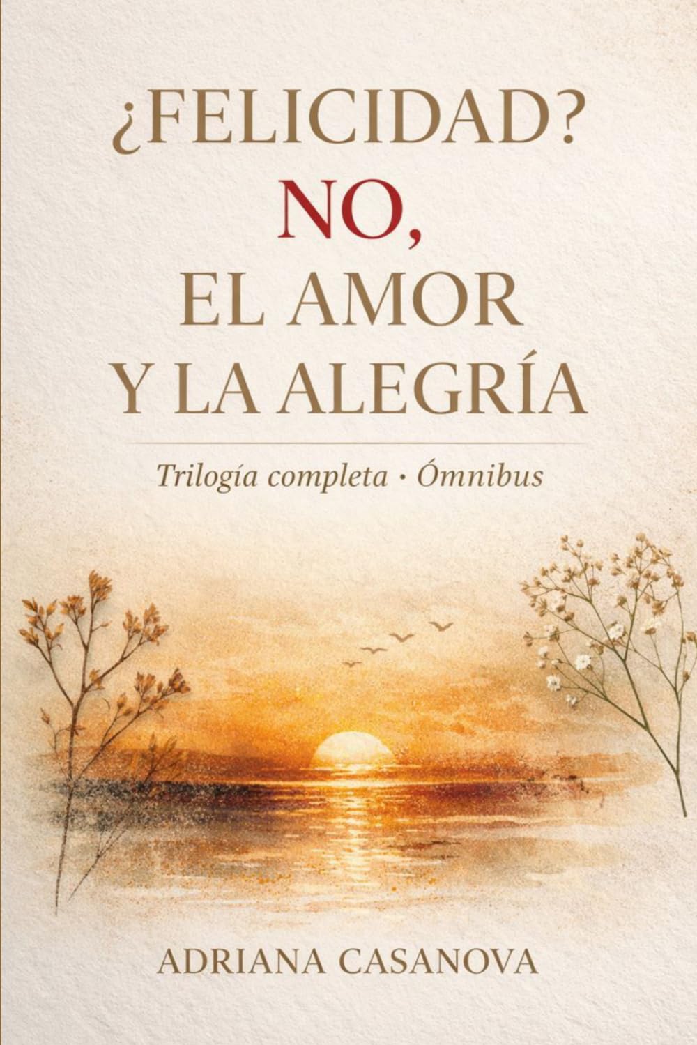 ¿Felicidad? No, el amor y la alegría: 4 (Amar sin idealizar)