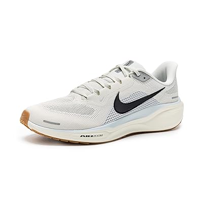 Nike Pegasus 41 Men