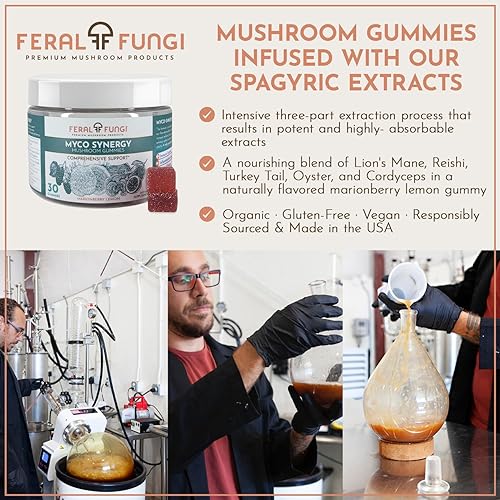 Miniatura 3 de Feral Fungi Myco-Synergy - Gomitas de hongos  Melena de león, Reishi, cola de pavo, ostra y cordyceps  Apoyo inmunológico, cerebral y energético