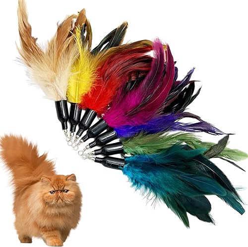 Miniatura 5 de CATENEED Recambios de varita de juguete para gatos, 16 piezas de repuesto para juguetes de plumas, accesorios de varita para gatos