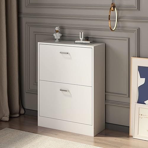 AIEGLE Zapatero con 2 cajones abatibles para entrada estante moderno organizador de zapatos con estante ajustable armario de almacenamiento de