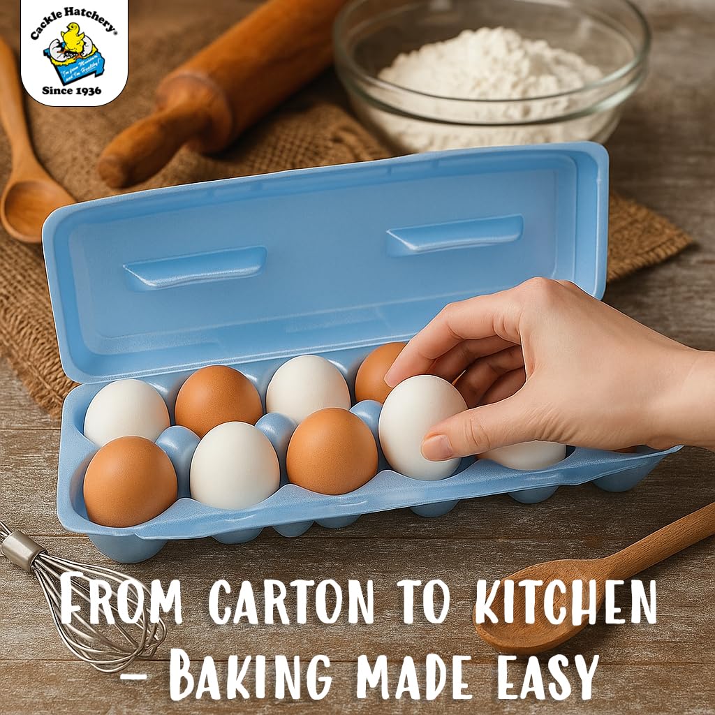 Cackle Hatchery Cartones de espuma para huevos de gallina con capacidad para 1 docena de huevos (azul, 15 unidades)