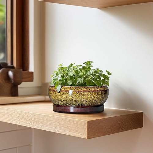 Miniatura 6 de Macetas pequeñas para bonsái, macetas de cerámica para suculentas de 6 pulgadas con orificio de drenaje y platillo, maceta redonda poco profunda