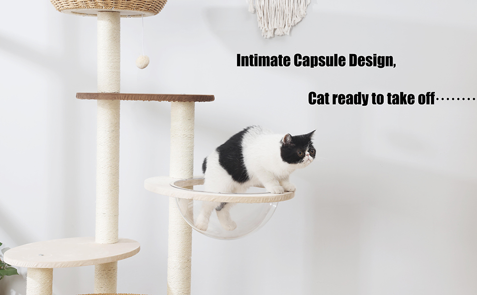 Modern Cat Furniture With Basket 50