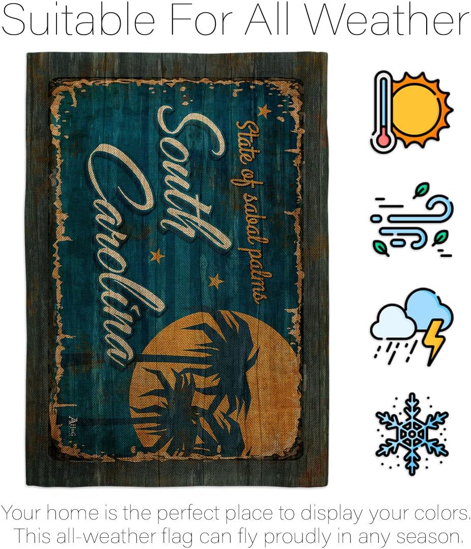 South Carolina Vintage Burlap House Flag - Regional States USA American Territories Republic Country Particular Area - Decoration Banner Small Garden Yard Gift Double-Sided Made in 28 X 40