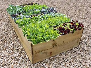 Quickcrop Allotment Raised Beds - 35cm High (180cm x 120cm)