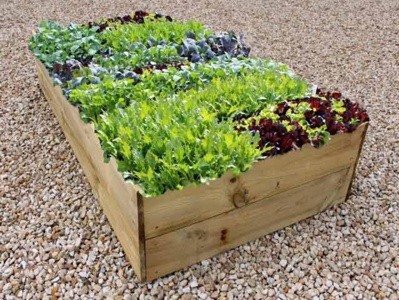 Quickcrop Allotment Raised Beds - 35cm High (180cm x 180cm)