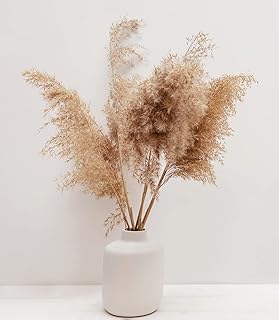 CZ Grain 3 Foot Tall Real Pampas Grass Tops - 20 Pieces - Ships from Iowa, USA