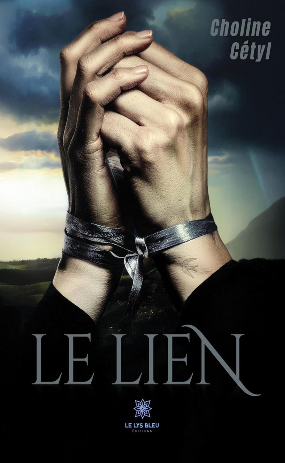 Le lien (French Edition)
