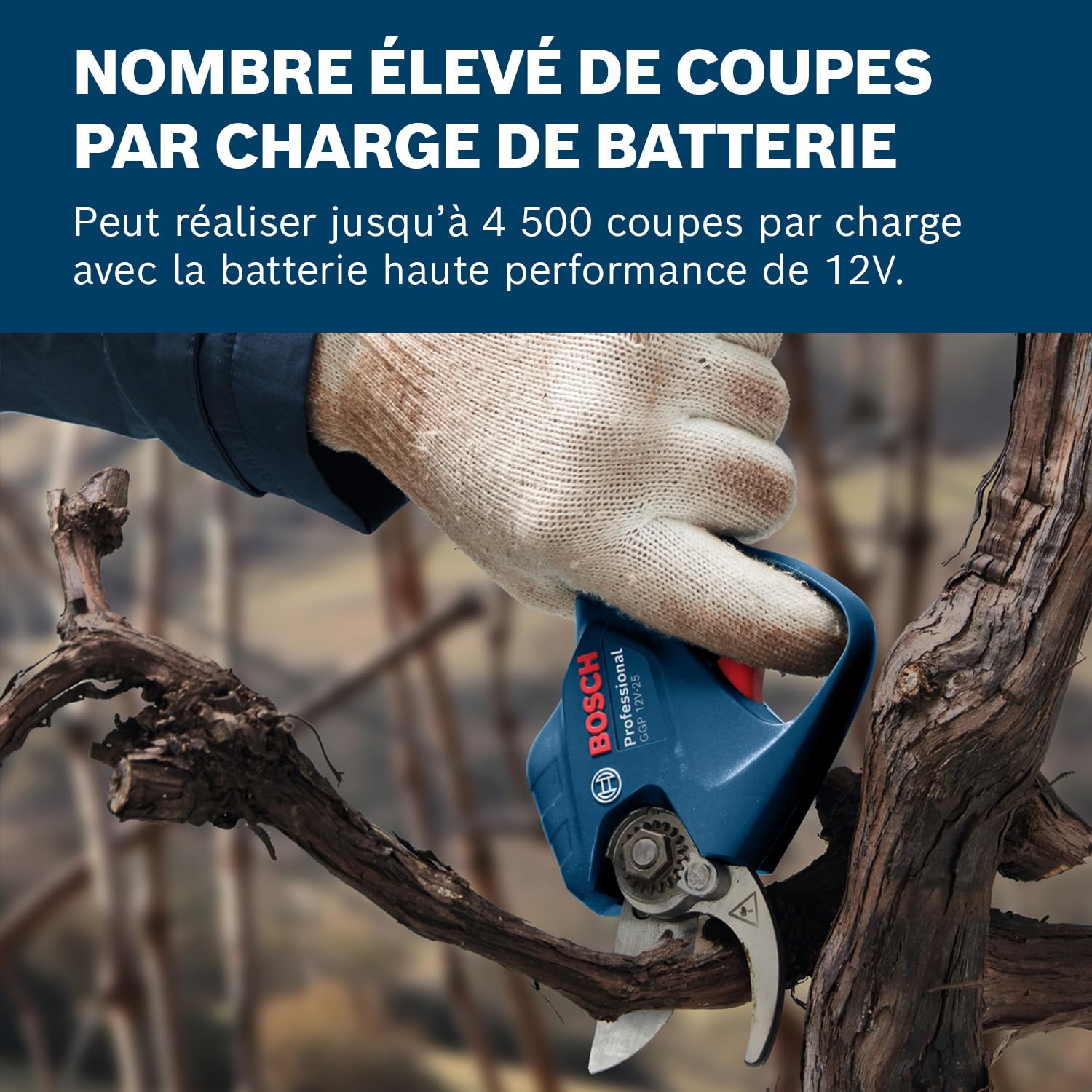 Bosch Professional GGP 12V-25 sécateur 12V, moteur sans charbons, coupes jusqu'à 25 mm, 2 batteries 3,0 Ah