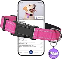 Pawduct Reflective Dog Collar for Medium Dogs - Smart QR ID Tag, Personalized, Quick Release Buckle, Hot Pink Adjustable Nylon