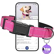 Reflective Dog Collar for Large Dogs with Dog Tags Personalized & Quick Release Buckle, Adjustable and Comfortable Nylon Pet Collar, Hot Pink