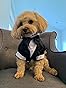 Vestito Per Cane Keysui - Abito Elegante Per Teddy E Cani Di Piccola Taglia - Foto 3