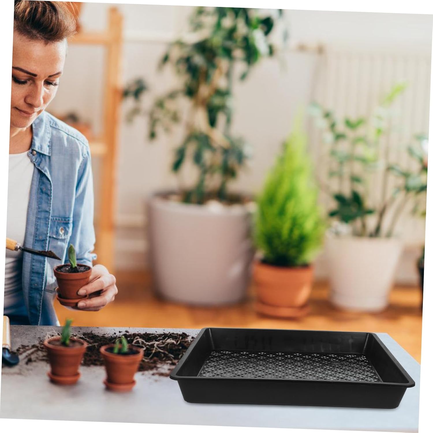 MERRYHAPY 4pcs Trays for Indoor Gardening Flat Germination Plates Optimal Drainage Multi-use Plant Grow Tray for Beans Tomatoes and Peppers