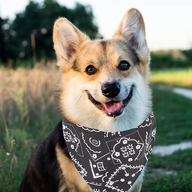 Foto 6 de 7 de Pañuelos para Perros Pañuelo para Mascotas Ajustable para Cachorros Perro pequeño Gato (S, Negro)