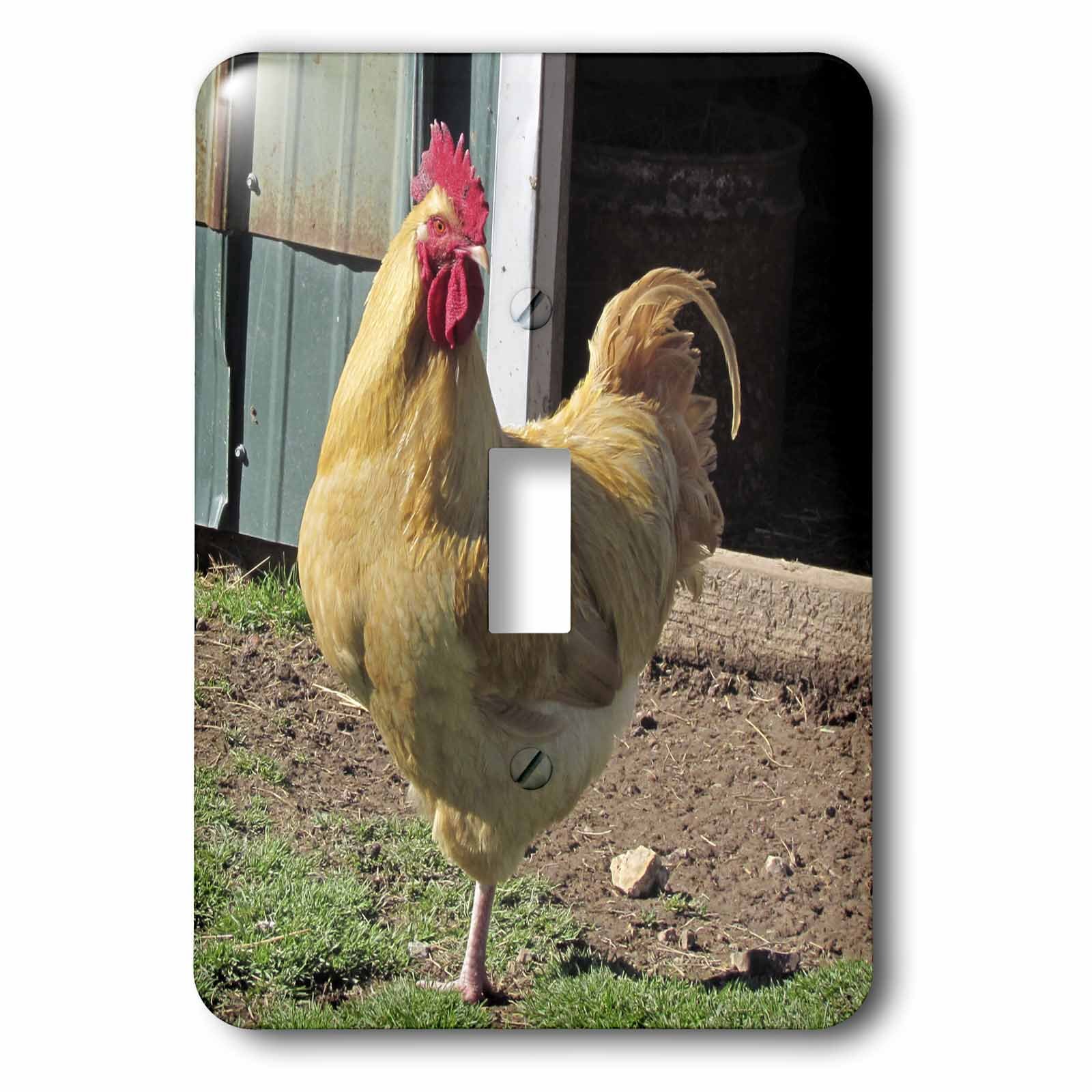 Interrupteur à baïonnette Tan Rooster single 3dRose beige pour maison