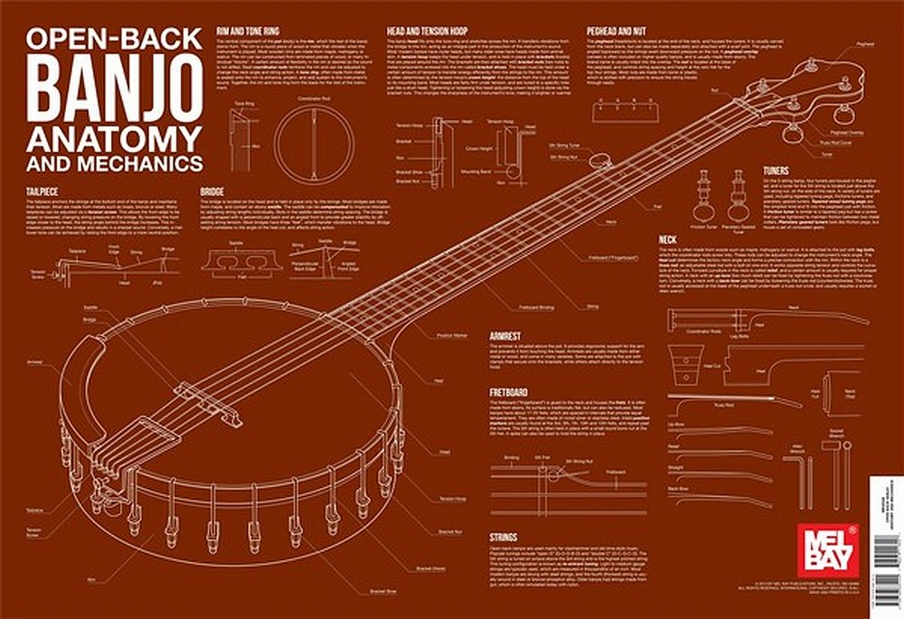 Open Back Banjo Anatomy And Mechanics Wall Chart (Anatomy Wall Chart) Wall Chart – Import, 24 September 2013