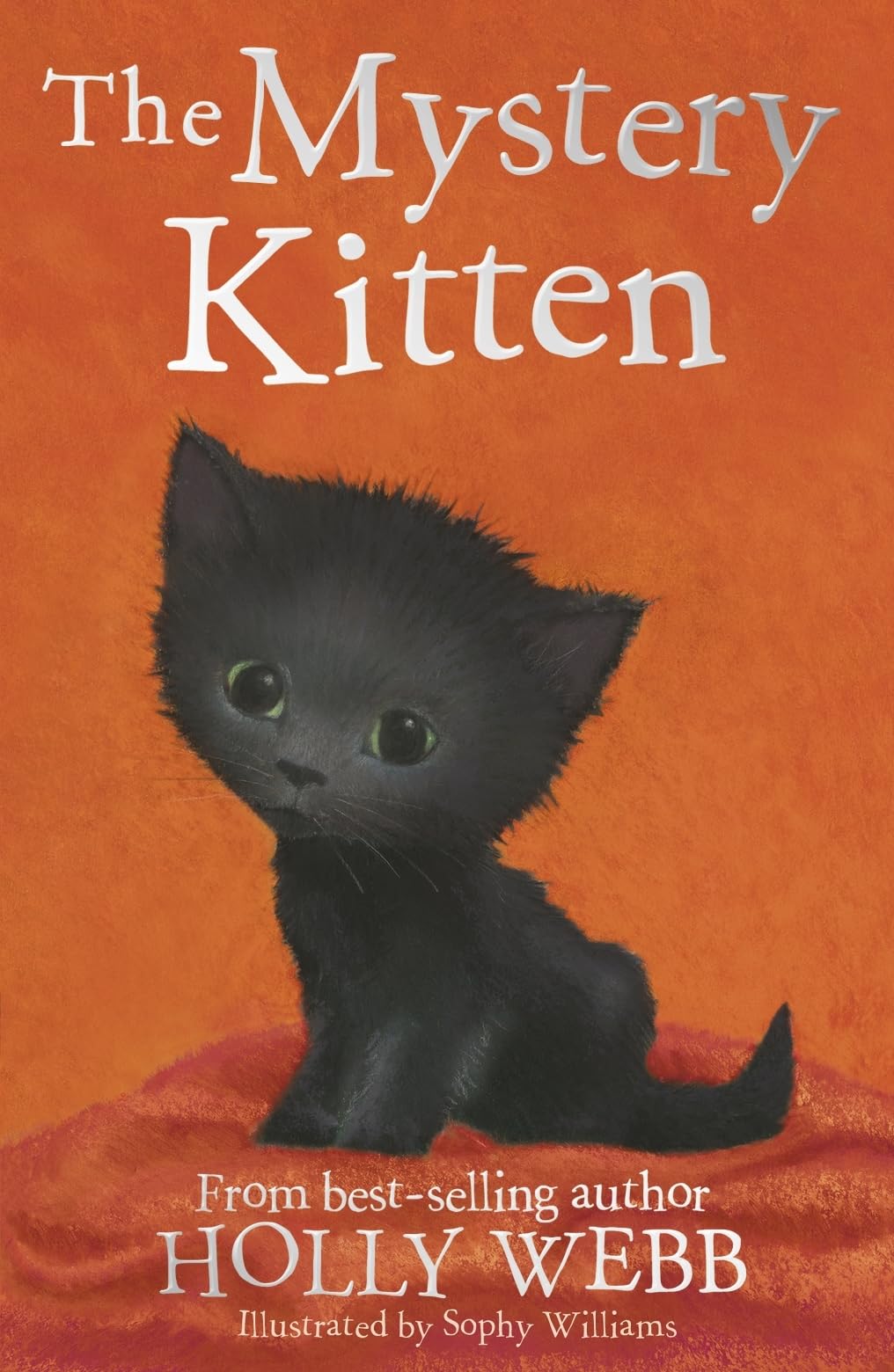 The Mystery Kitten: 44 (Holly Webb Animal Stories, 44)