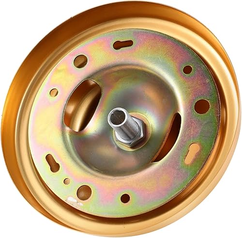 Uonlytech Candelabro de techo para techo, placa de luz de techo resistente, sin deformación, adecuada para decoración de casa de campo a moderna del