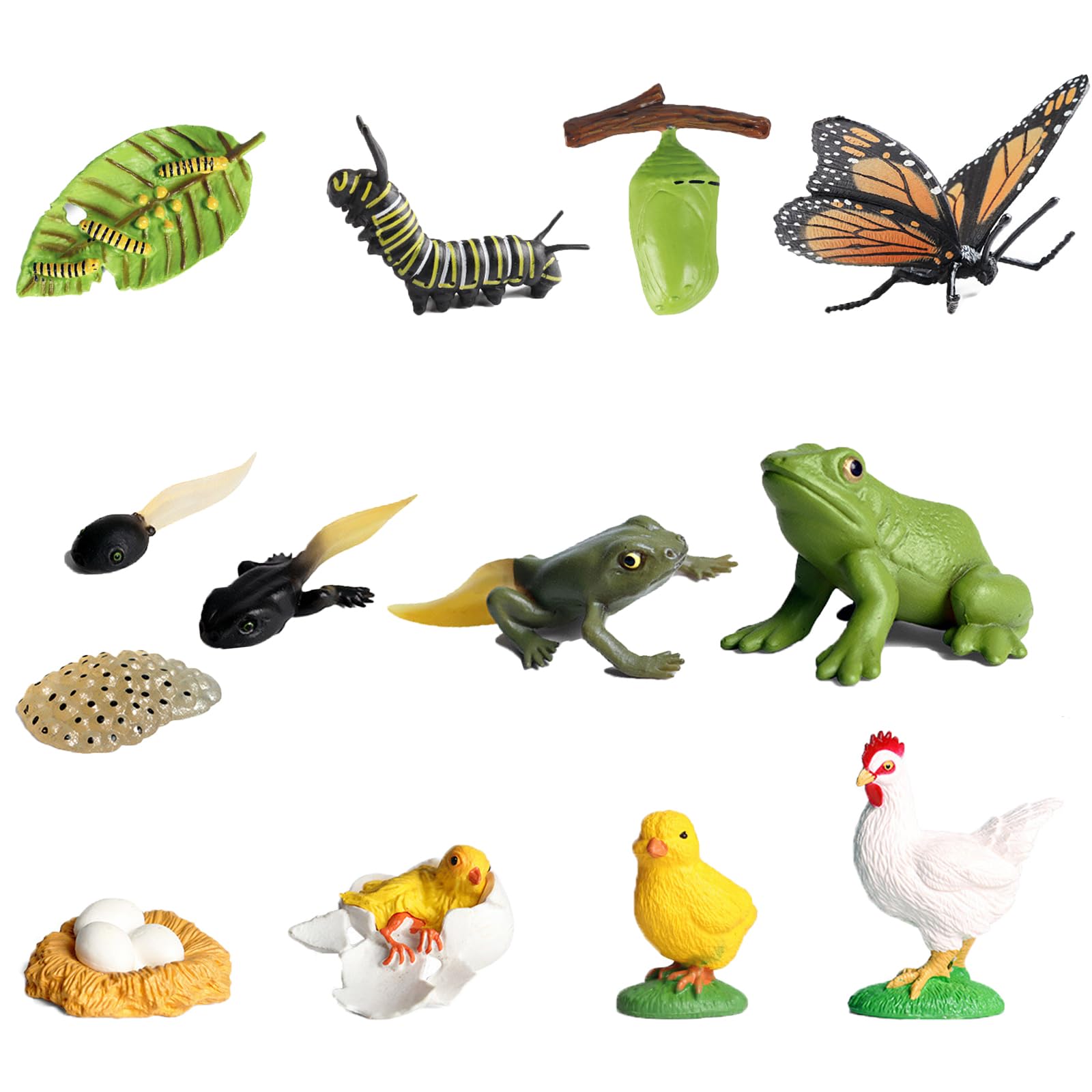 Butterfly Life Cycle Toys, 13 Pcs Insect Life Cycle Models Set: Chicken, Frog & Butterfly Growth Stages, Montessori Learning Resources, Science Classroom Kit, Educational Toys for Students