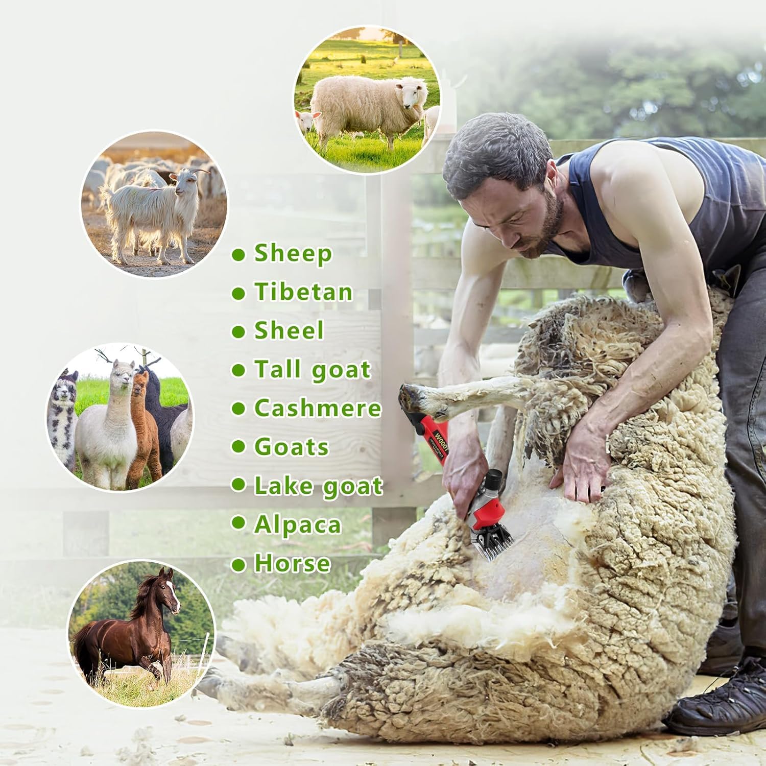 Tosatrice elettrica per Pecore, tosatrice Professionale per Animali a 3800 Giri/min, tosatrice per Pecore a 6 velocità, Robusta, con Lama in Acciaio Inox Staccabile, per Cavalli, Pecore e capre