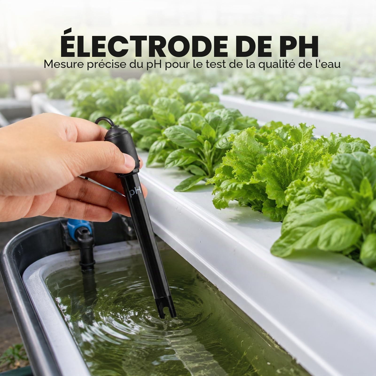 Longue Corps pH Électrode avec BNC Prise Sonde 300cm Câble 0-14pH pour pH Mètre, pH Manette pH Dispositif Économique Capteur