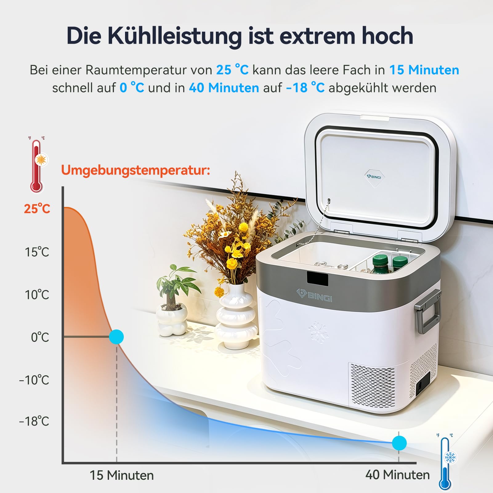 BINGI Kompressor Kühlbox 22L Mini Tragbarer Elektrischer Kühlschrank 12/24V DC Elektrischer Gefrierschrank Tragbarer Gefrierschrank für Auto LKW Picknick Camping und Heimgebrauch