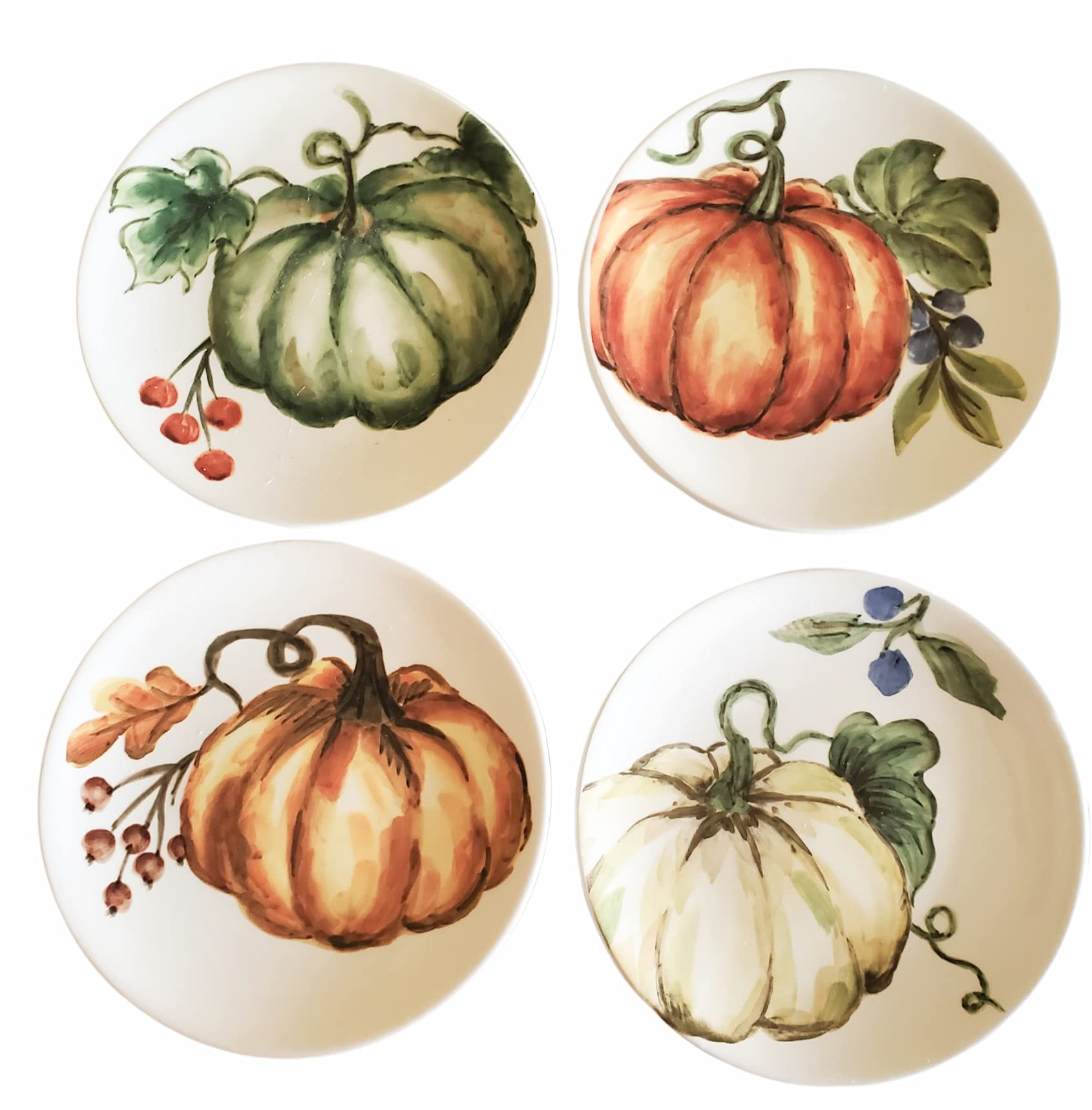 MAXCERA Maxcera Pumpkin Thanksgiving Appetizer Plates Set of Four 6inch Bread and Butter Plates Fall Harvest Multicolor